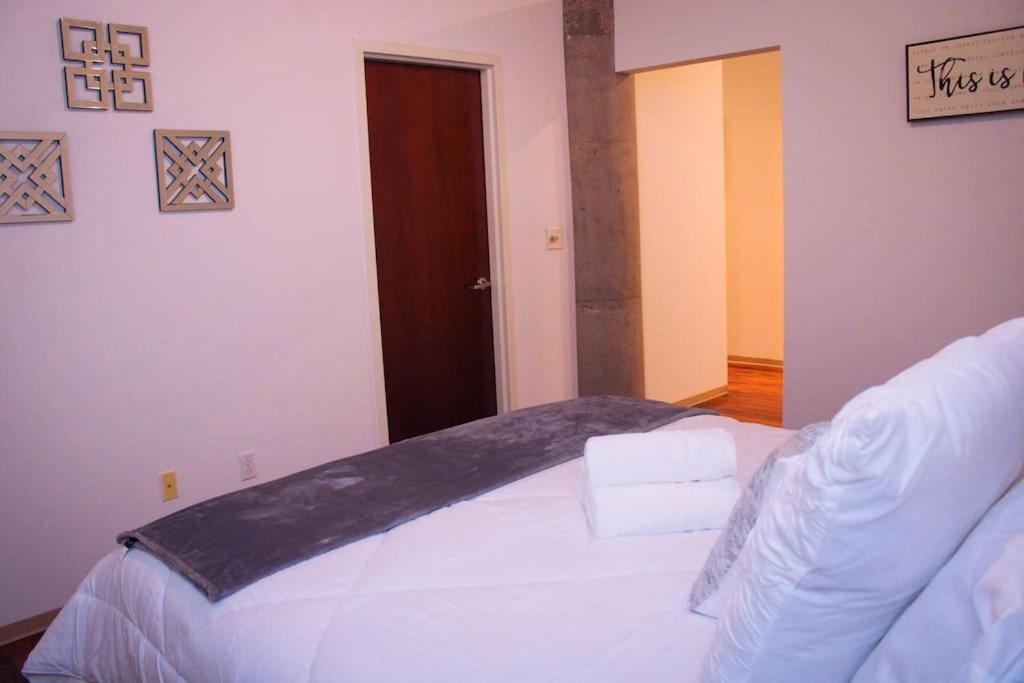 Cozy Stylish Downtown Loft Apartment Saint Louis Bagian luar foto